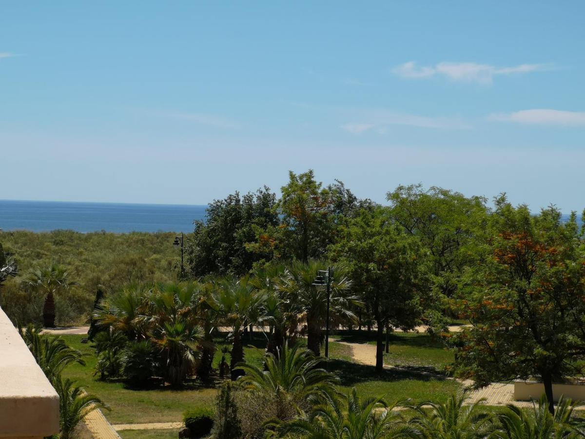 Premium Un Isla Canela